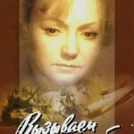 Вызываем Огонь на Себя Постер